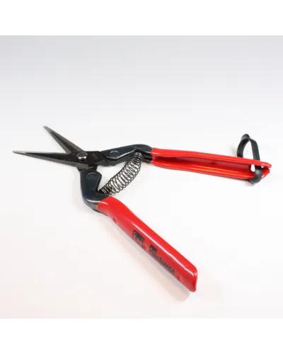 Professional scissors for picking fruit vegetables, flowers and plants