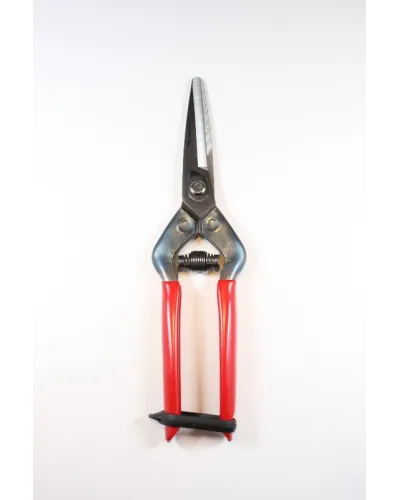 Professional long blade scissors for picking fruit vegetables, flowers and plants