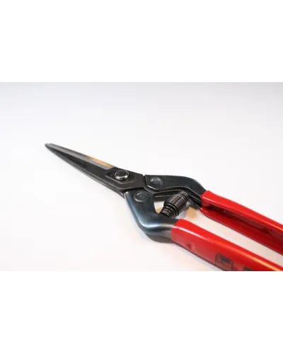 Professional long blade scissors for picking fruit vegetables, flowers and plants