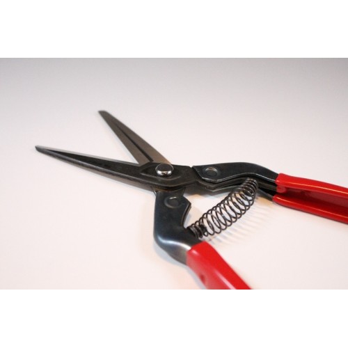 Professional long blade fruit picking scissors with Japanese steel coil spring