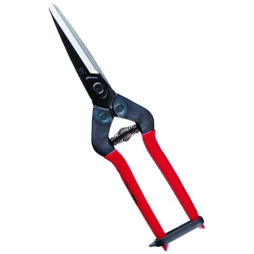 Forbici Professionali con lama lunga coglifrutta cogliuva per verdura fiori piante