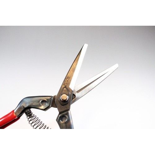 Professional long blade fruit picking scissors with coil spring and special steel rivet