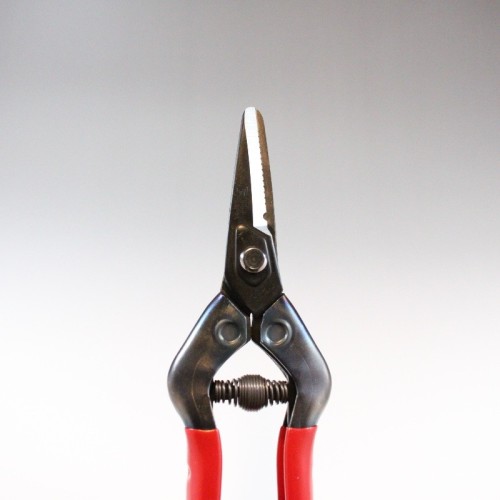 Professional fruit picking scissors with Japanese steel coil spring