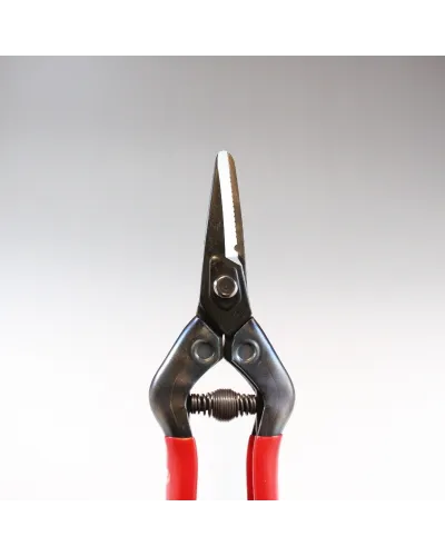 Japanese Professional scissors for picking fruit vegetables, flowers and plants