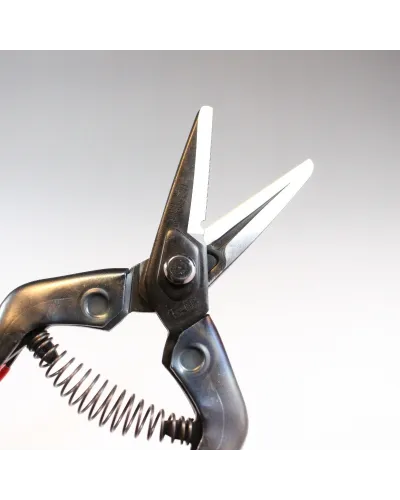 Japanese Professional scissors for picking fruit vegetables, flowers and plants