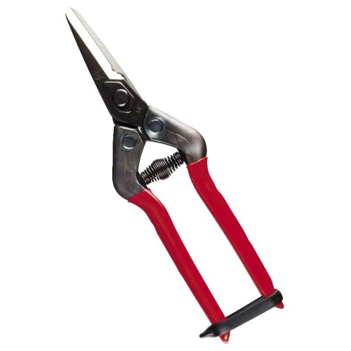 Forbici Professionali per potatura e coglifrutta cogliuva per verdura fiori piante