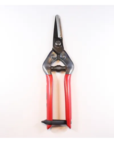 Japanese professional scissors for picking fruit picking grapes vegetables flowers plants for agriculture gardening