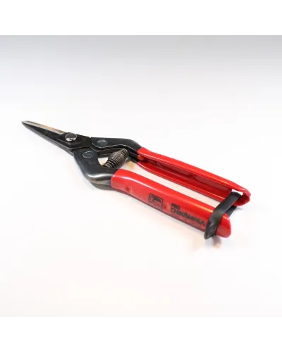 Japanese professional scissors for picking fruit in high quality steel for agriculture and gardening