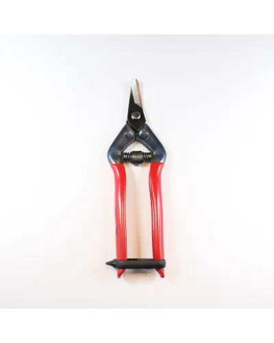 Professional scissors with curved blade for picking fruit vegetables, flowers and plants