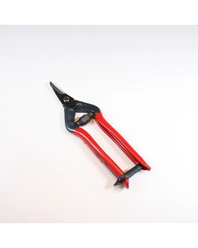 Professional scissors with curved blade for picking fruit vegetables, flowers and plants