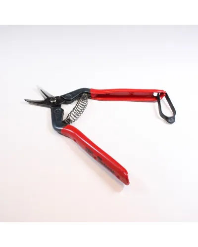 Professional scissors with curved blade for picking fruit vegetables, flowers and plants