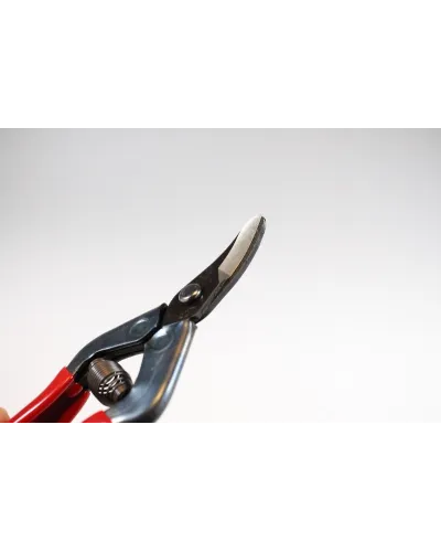 Professional scissors with curved blade for picking fruit vegetables, flowers and plants