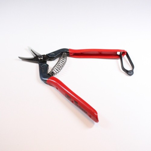 Professional fruit picking scissors with curved blade with coil spring and special steel rivet