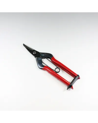 Professional scissors with long curved blade for picking fruit vegetables, flowers and plants