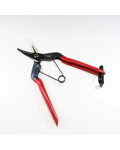 Professional scissors with long curved blade for picking fruit vegetables, flowers and plants