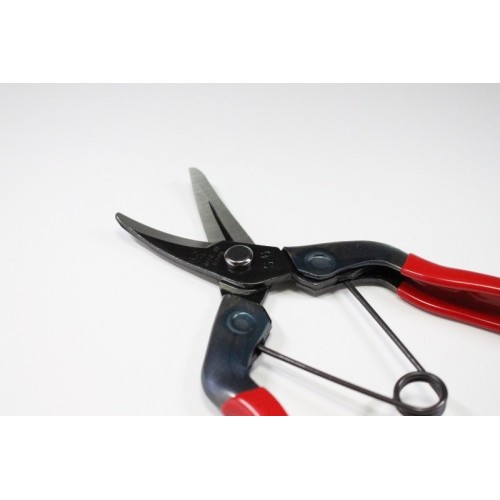 Professional fruit picking scissors with long curved blade in Japanese steel