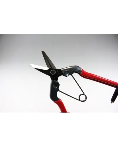 Professional scissors with long curved blade for picking fruit vegetables, flowers and plants