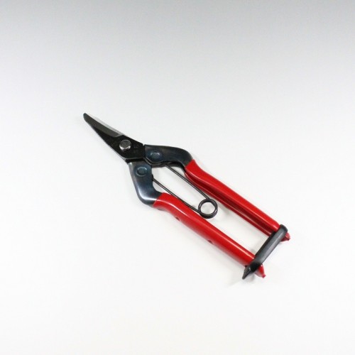 Forbici Professionali con lama lunga coglifrutta cogliuva per verdura fiori piante