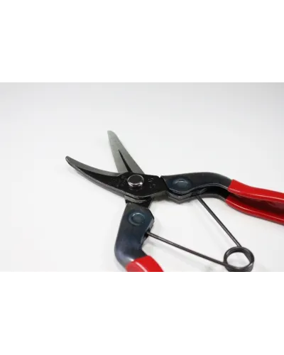 Forbici Professionali con lama lunga coglifrutta cogliuva per verdura fiori piante