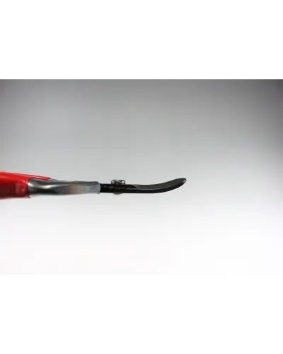 Forbici Professionali con lama lunga coglifrutta cogliuva per verdura fiori piante