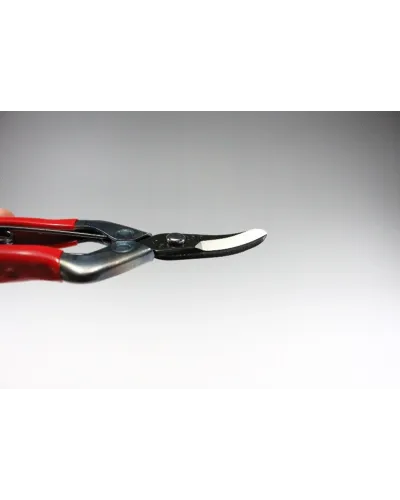 Forbici Professionali con lama lunga coglifrutta cogliuva per verdura fiori piante