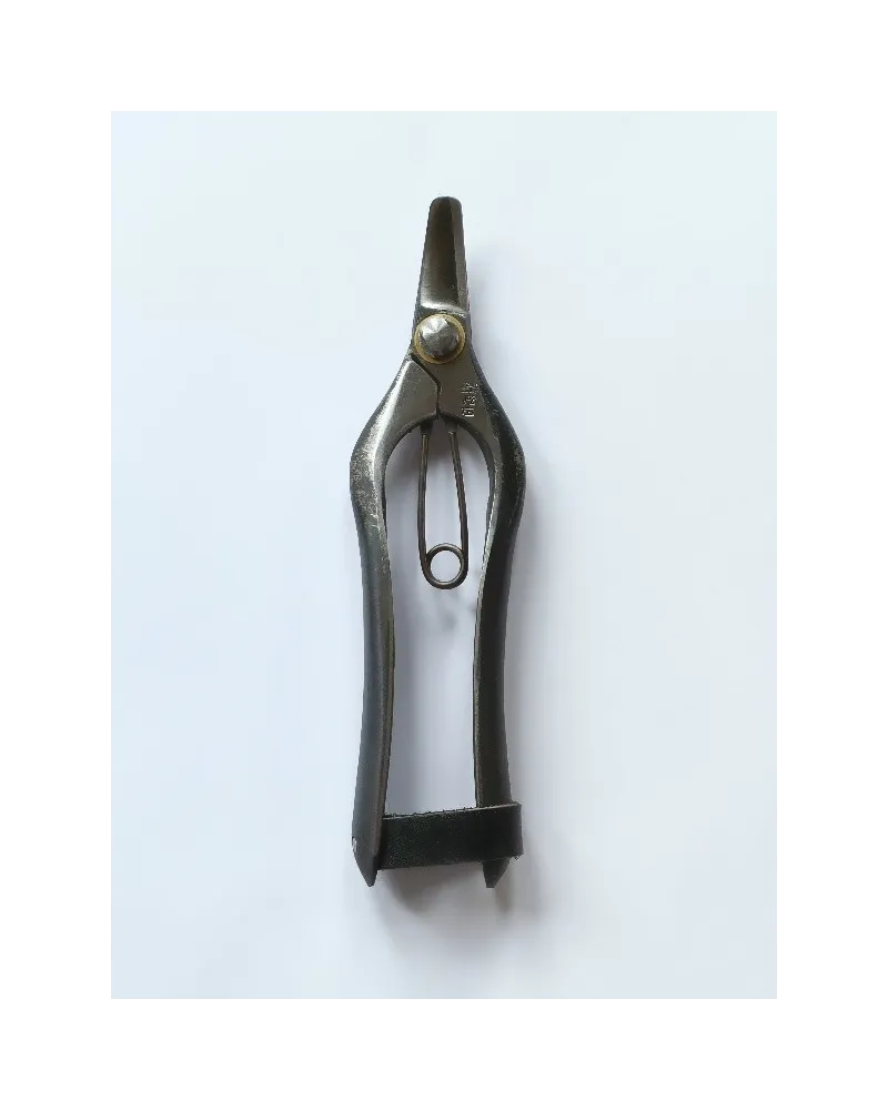 Fruit picking scissors with double curved blade