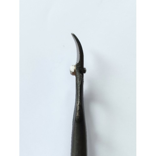 Fruit picking scissors with double curved blade