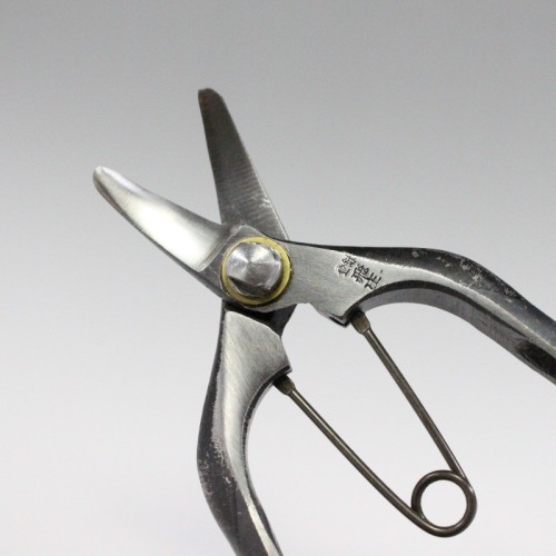 Professional scissors with double curved blade for fruit and vegetable harvesting