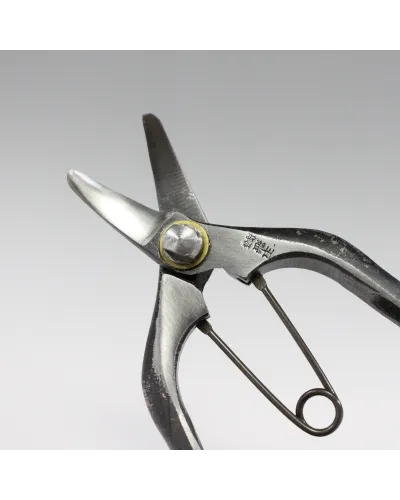 Fruit picking scissors with double curved blade