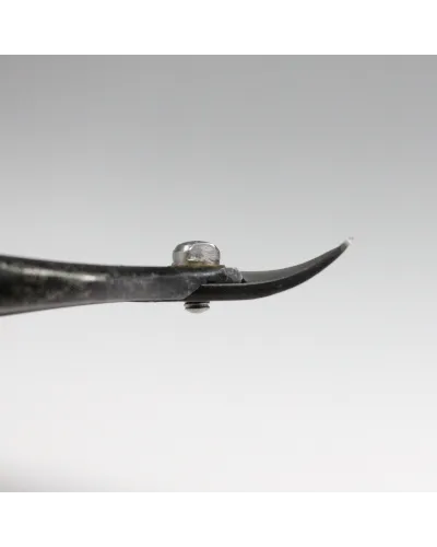 Forbici coglifrutta a doppia lama curva