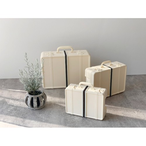 stackable storage suitcase compact container