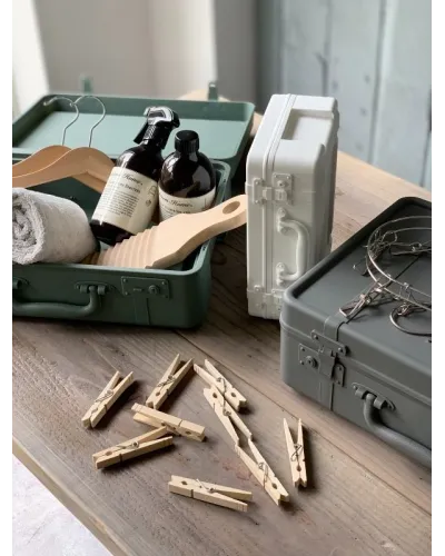 baule portaoggetti contenitore valigia