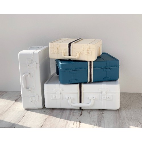 space-saving storage trunk for home and office objects