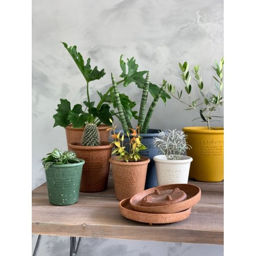 plastic planter with saucer