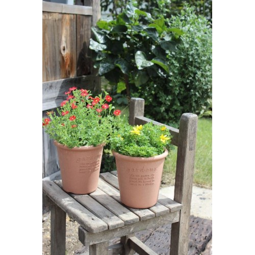 Vaso tondo in plastica colorato per giardino piante e fiori