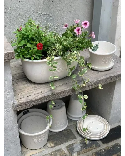 Vaso tondo in plastica colorato per giardino piante e fiori