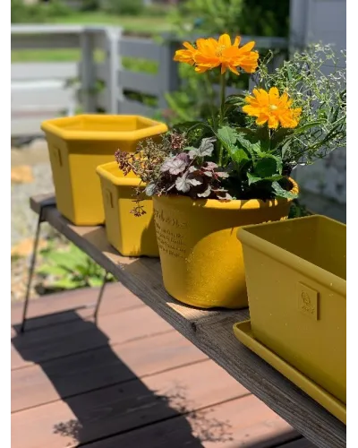 Vaso fioriera tondo in plastica per piante e fiori