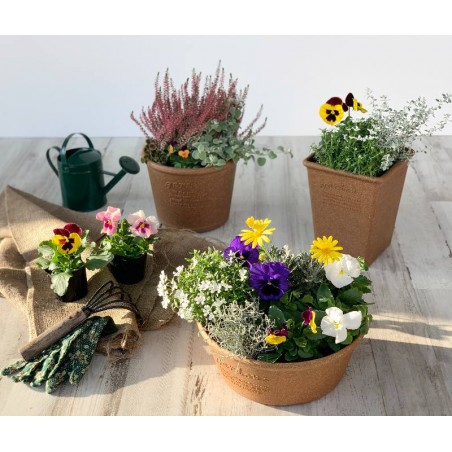 vaso in plastica con sottovaso per piante e fiori