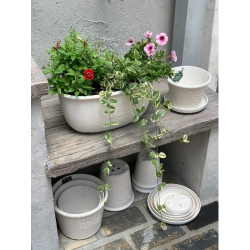 Round plastic planter pot for plants and flowers