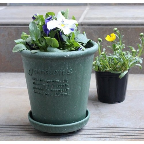 plastic pot with saucer for plants and flowers