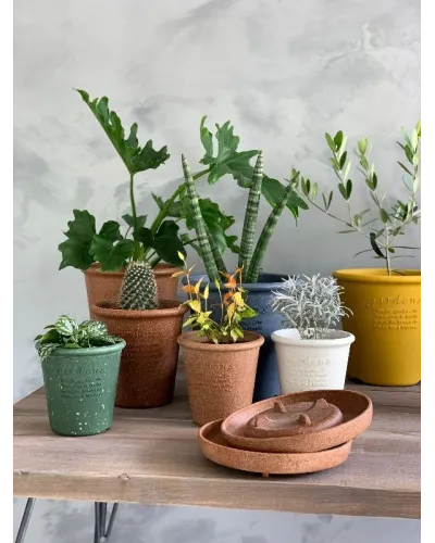 Hachiman plastic pot with saucer for plants and flowers