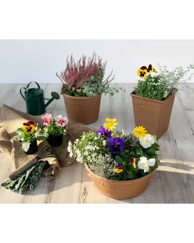Hachiman plastic pot with saucer for plants and flowers