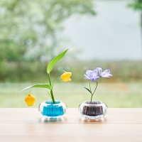 Colorful Flower Vase Barium...