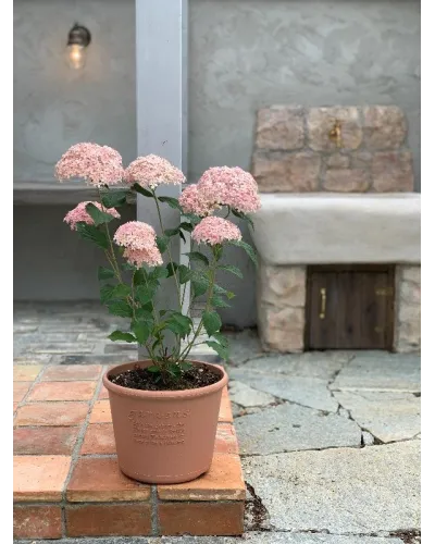 Vaso fioriera tondo in plastica per piante e fiori
