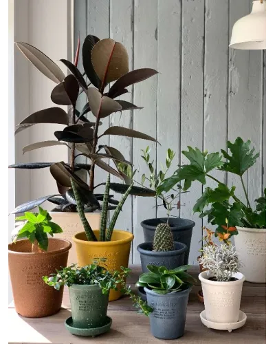 Vaso e sottovaso in plastica per giardino e per interno