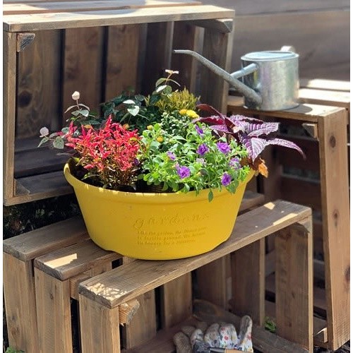 Eco-friendly plastic planter pot for plants