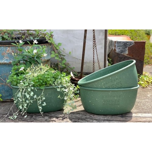 Plastic oval planter for garden and indoor use