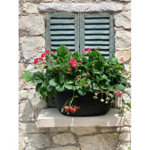 Hachiman fioriera ecologica per piante da giardino e interno