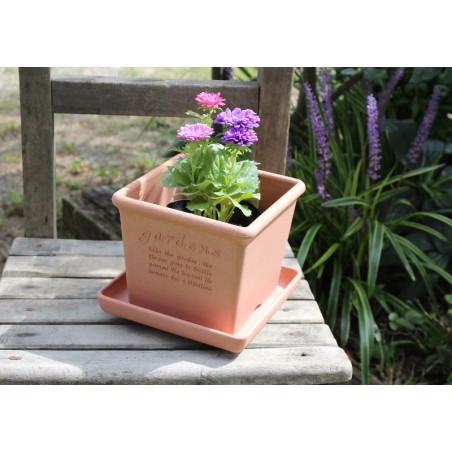 Questi vasi dal design quadrato con linee nette renderanno il tuo giardino più elegante