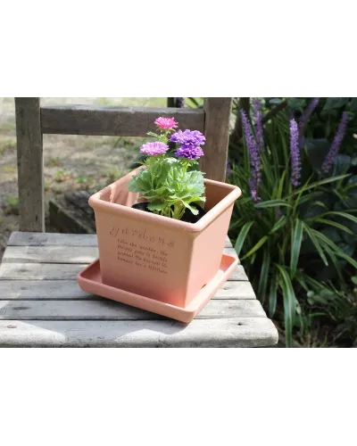 Hachiman fioriera ecologica per piante da giardino e interno